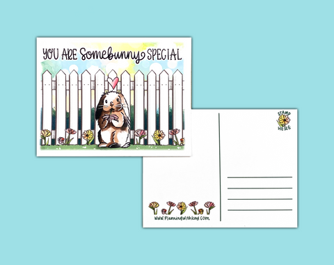 Backyard Bunny Postcard