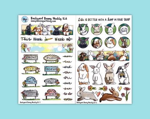 Backyard Bunny Weekly Kit