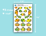 DIGITAL DOWNLOAD Citrus Fruits